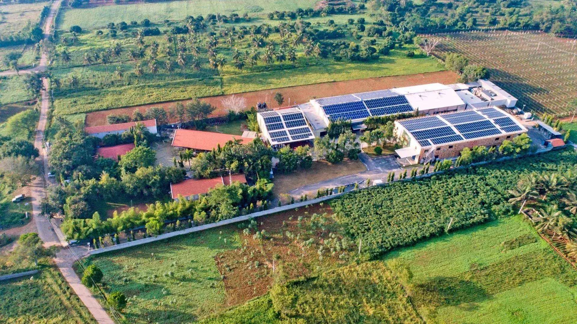 Domaine Sula (Heritage Winery), Channapatna